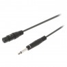 XLR Female - Jack 6.35mm, 1.5m