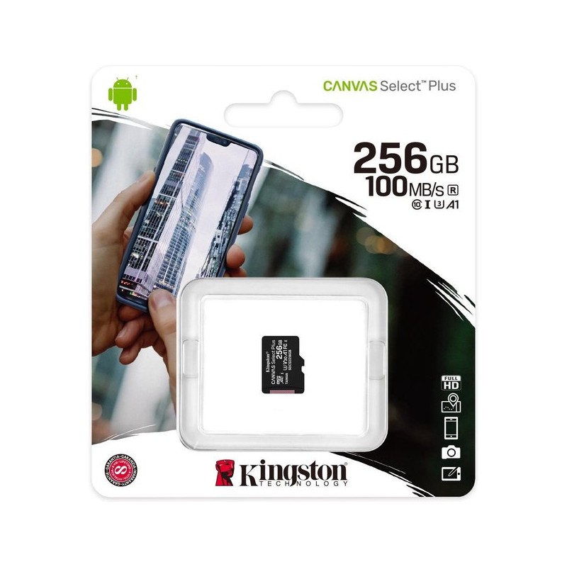 MicroSD card 256GB