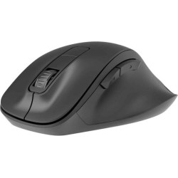 Ergonomische Muis, Draadloos